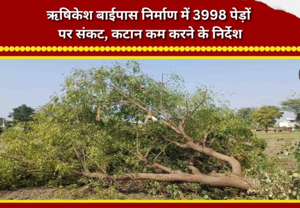 3,998 trees at risk due to Rishikesh bypass construction; directives issued to minimize felling
