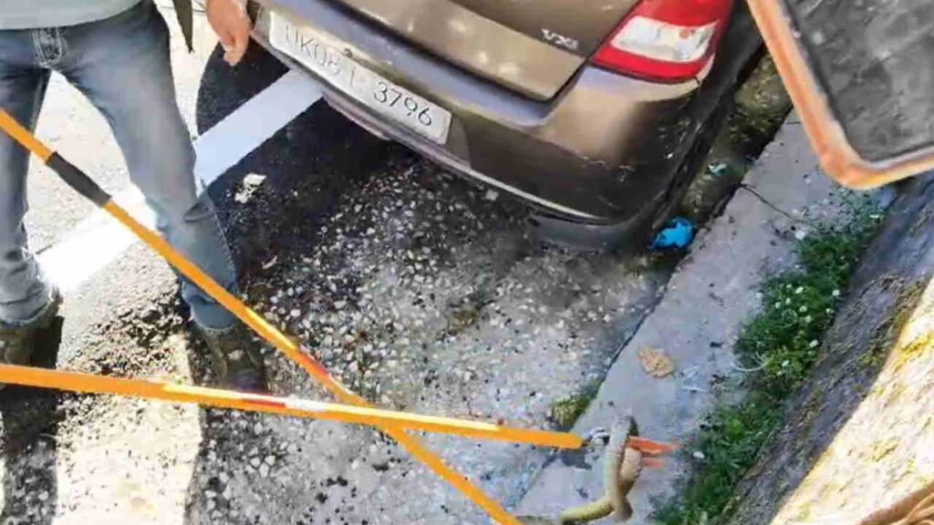 A snake entered a car in New Tehri; the Forest Department rescued and removed it.