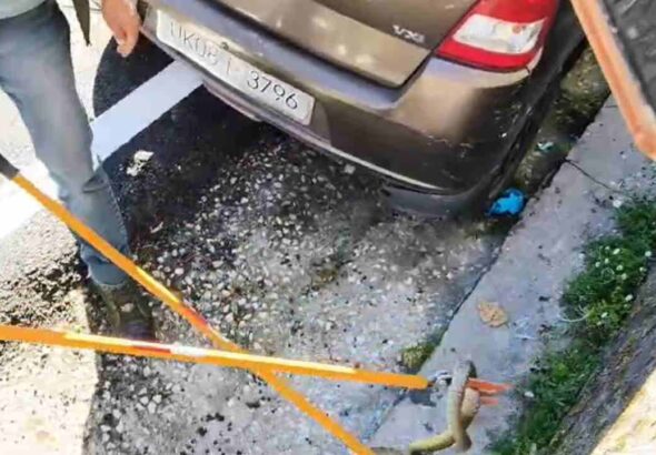 A snake entered a car in New Tehri; the Forest Department rescued and removed it.