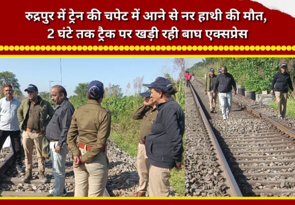 Male elephant dies after being hit by a train in Rudrapur; Bagh Express remained halted on the tracks for 2 hours.