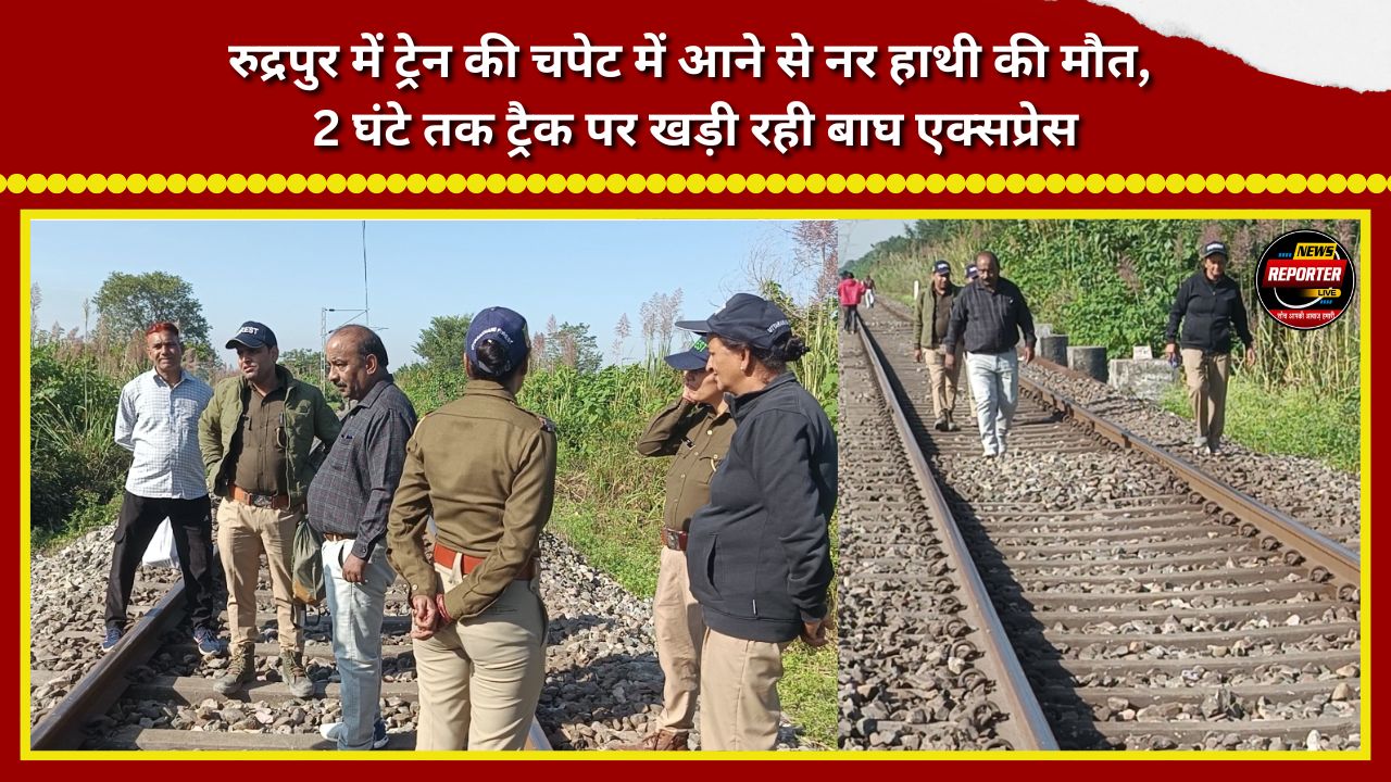 Male elephant dies after being hit by a train in Rudrapur; Bagh Express remained halted on the tracks for 2 hours.