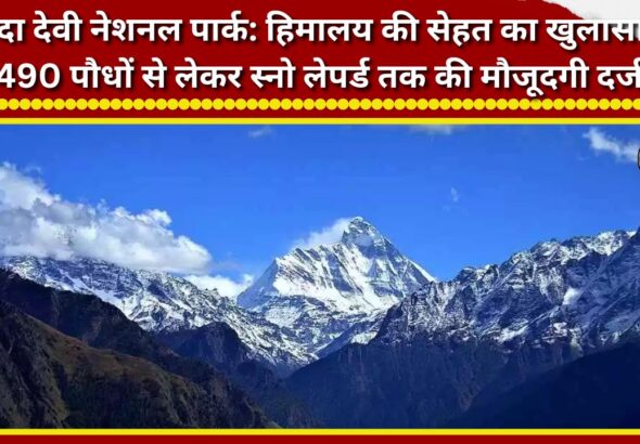 Nanda Devi National Park Insights into the health of the Himalayas