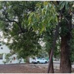 Neem cultivation to become a new source of income for farmers; FRI develops a new technique—one tree can yield 30 saplings.