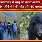Rising bear menace in Uttarakhand 4 dead, 40 injured in 9 months.