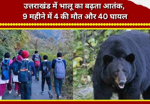 Rising bear menace in Uttarakhand 4 dead, 40 injured in 9 months.