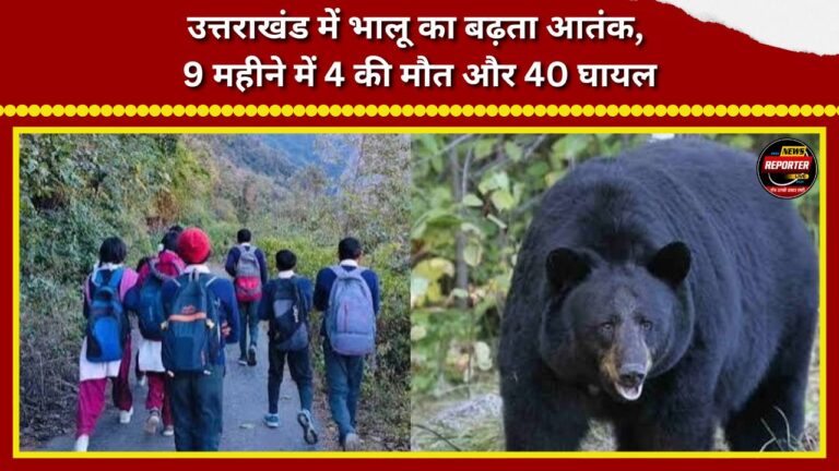 Rising bear menace in Uttarakhand 4 dead, 40 injured in 9 months.