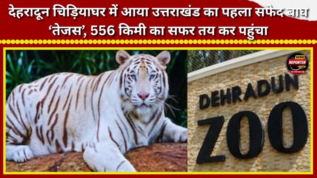 Uttarakhand’s first white tiger, ‘Tejas’, arrives at Dehradun Zoo after a 556-km journey.