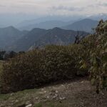Initiative to make Tungnath and Chopta litter-free; Forest Department to conduct 100 cleanliness drives; ban on carrying plastic.