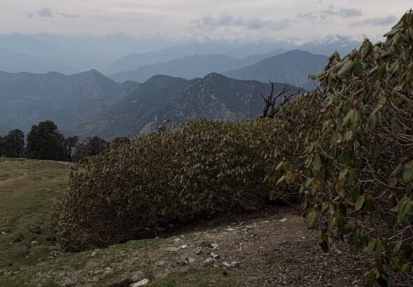Initiative to make Tungnath and Chopta litter-free; Forest Department to conduct 100 cleanliness drives; ban on carrying plastic.