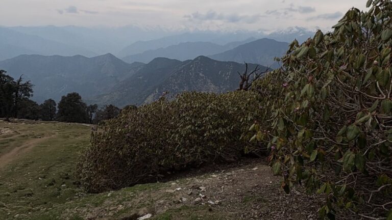 Initiative to make Tungnath and Chopta litter-free; Forest Department to conduct 100 cleanliness drives; ban on carrying plastic.